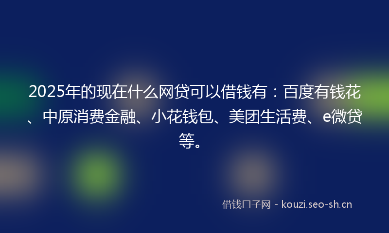 2025年的现在什么网贷可以借钱有：百度有钱花、中原消费金融、小花钱包、美团生活费、e微贷等。