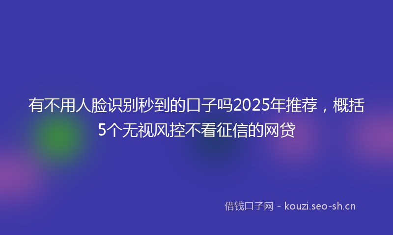 有不用人脸识别秒到的口子吗2025年推荐，概括5个无视风控不看征信的网贷