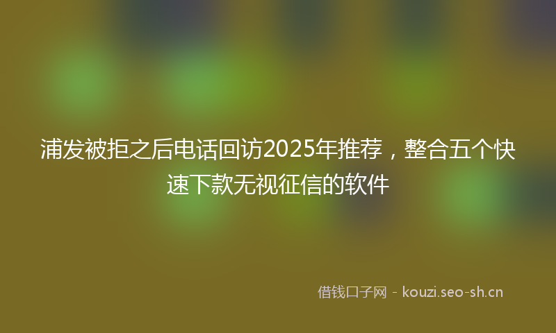 浦发被拒之后电话回访2025年推荐，整合五个快速下款无视征信的软件