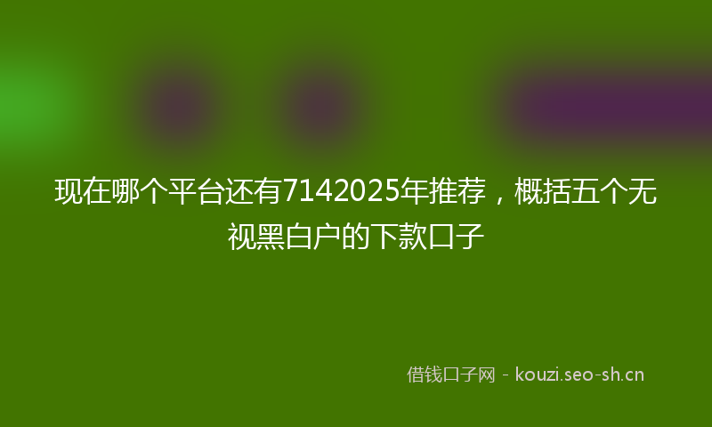 现在哪个平台还有7142025年推荐，概括五个无视黑白户的下款口子
