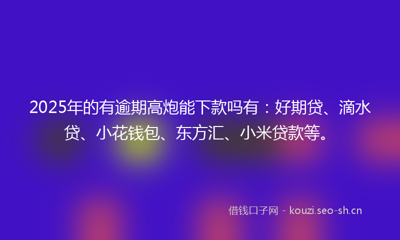 2025年的有逾期高炮能下款吗有：好期贷、滴水贷、小花钱包、东方汇、小米贷款等。