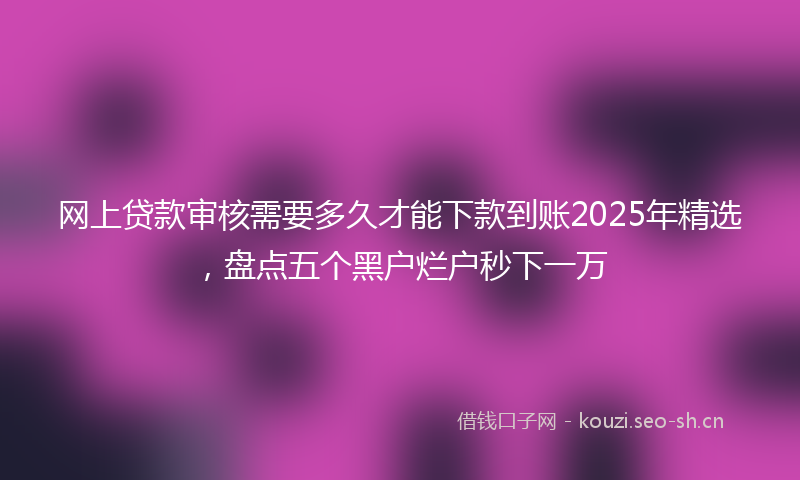 网上贷款审核需要多久才能下款到账2025年精选，盘点五个黑户烂户秒下一万