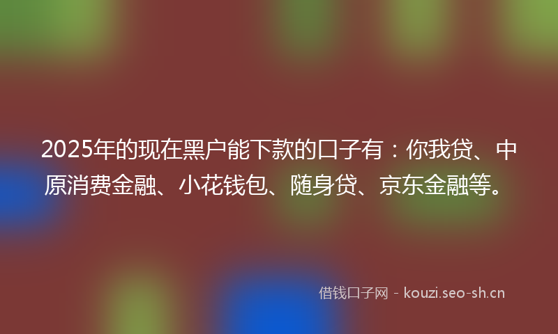 2025年的现在黑户能下款的口子有：你我贷、中原消费金融、小花钱包、随身贷、京东金融等。