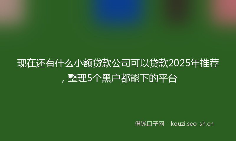 现在还有什么小额贷款公司可以贷款2025年推荐，整理5个黑户都能下的平台