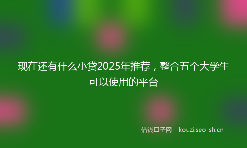 现在还有什么小贷2025年推荐，整合五个大学生可以使用的平台