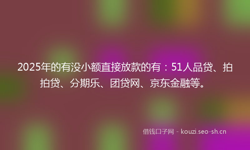 2025年的有没小额直接放款的有：51人品贷、拍拍贷、分期乐、团贷网、京东金融等。
