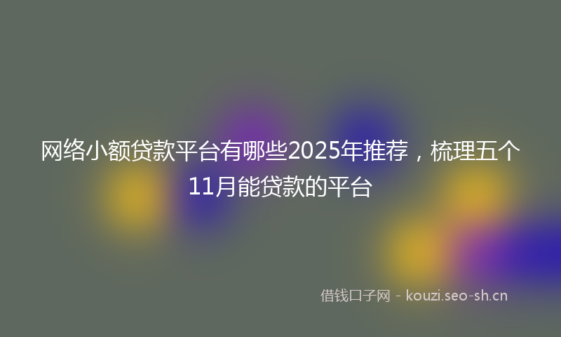 网络小额贷款平台有哪些2025年推荐，梳理五个11月能贷款的平台