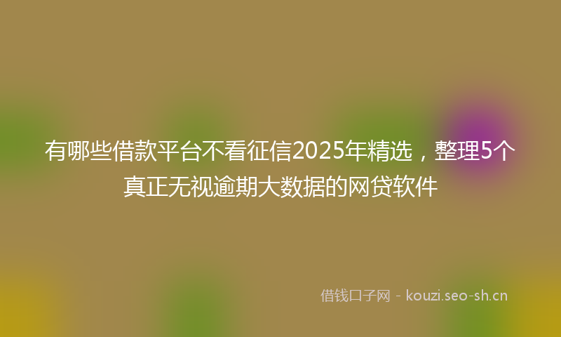 有哪些借款平台不看征信2025年精选,整理5个真正无视逾期大数据的网贷软件