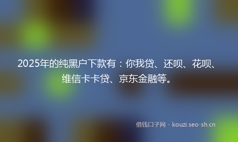 2025年的纯黑户下款有：你我贷、还呗、花呗、维信卡卡贷、京东金融等。