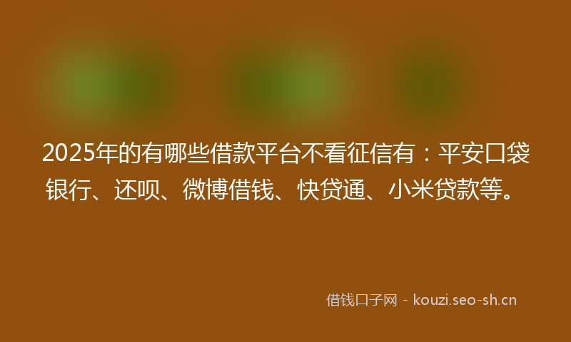 2025年的有哪些借款平台不看征信有：平安口袋银行、还呗、微博借钱、快贷通、小米贷款等。