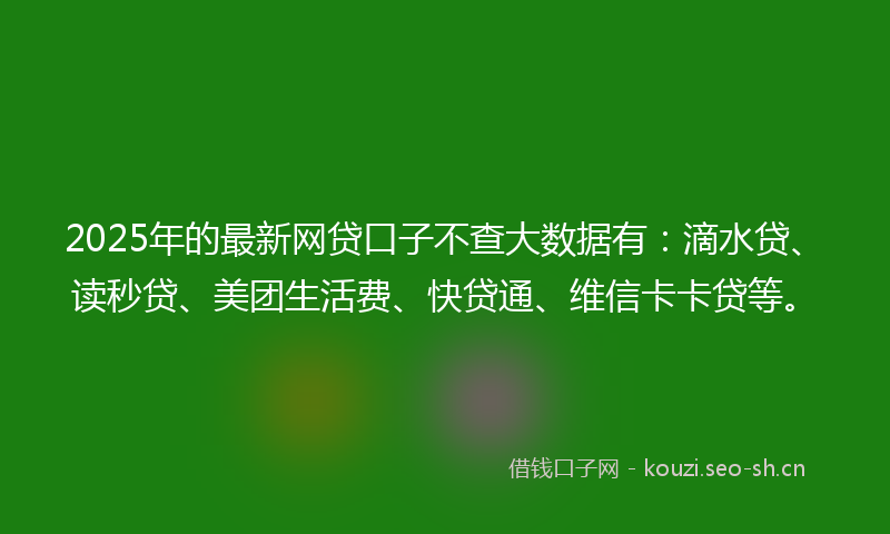 2025年的最新网贷口子不查大数据有：滴水贷、读秒贷、美团生活费、快贷通、维信卡卡贷等。