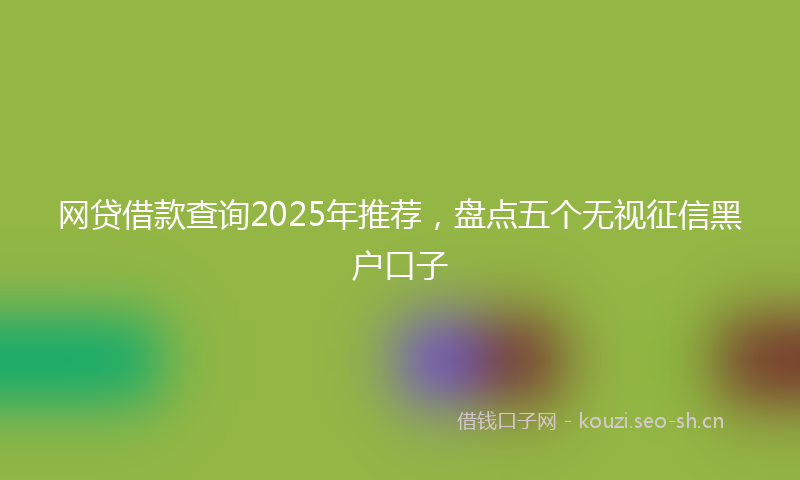 网贷借款查询2025年推荐，盘点五个无视征信黑户口子