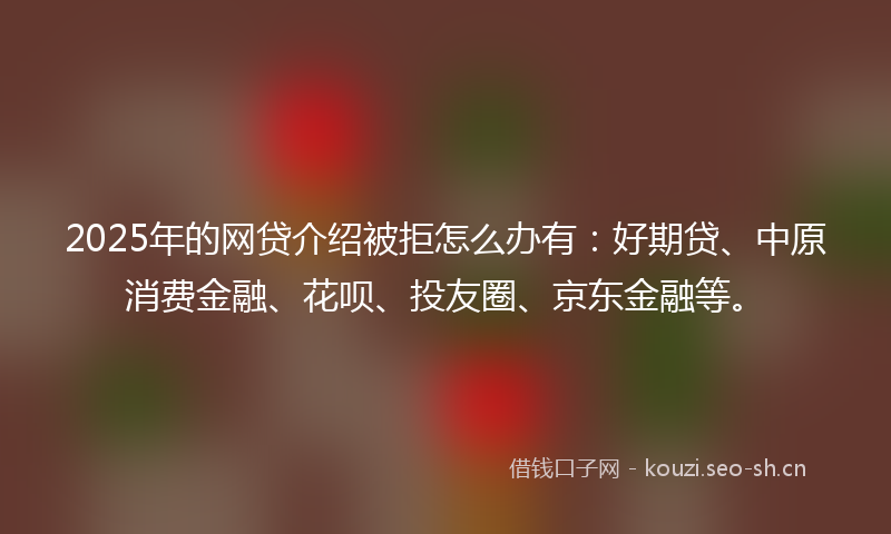 2025年的网贷介绍被拒怎么办有：好期贷、中原消费金融、花呗、投友圈、京东金融等。