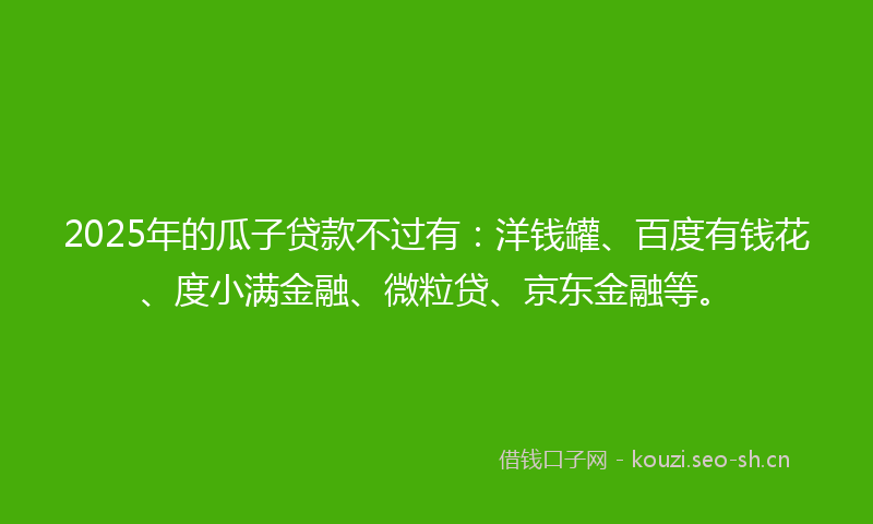 2025年的瓜子贷款不过有：洋钱罐、百度有钱花、度小满金融、微粒贷、京东金融等。