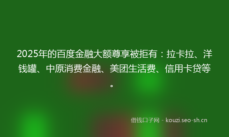 2025年的百度金融大额尊享被拒有：拉卡拉、洋钱罐、中原消费金融、美团生活费、信用卡贷等。