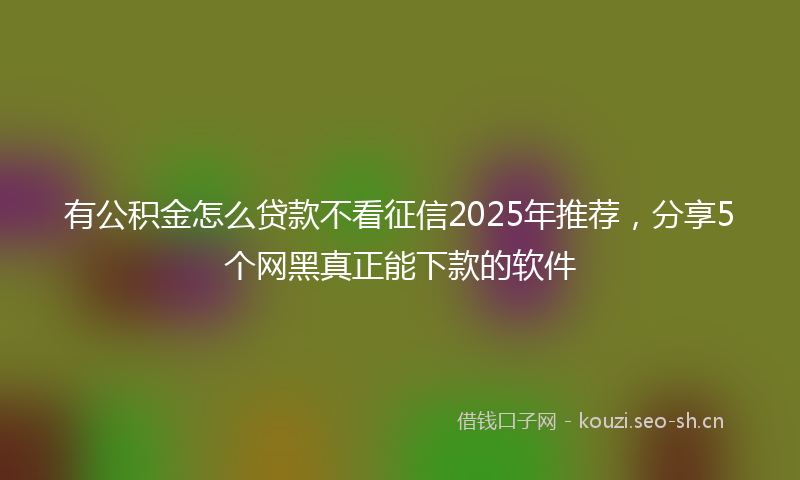 有公积金怎么贷款不看征信2025年推荐，分享5个网黑真正能下款的软件