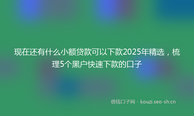 现在还有什么小额贷款可以下款2025年精选，梳理5个黑户快速下款的口子