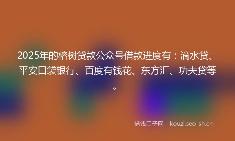 2025年的榕树贷款公众号借款进度有：滴水贷、平安口袋银行、百度有钱花、东方汇、功夫贷等。
