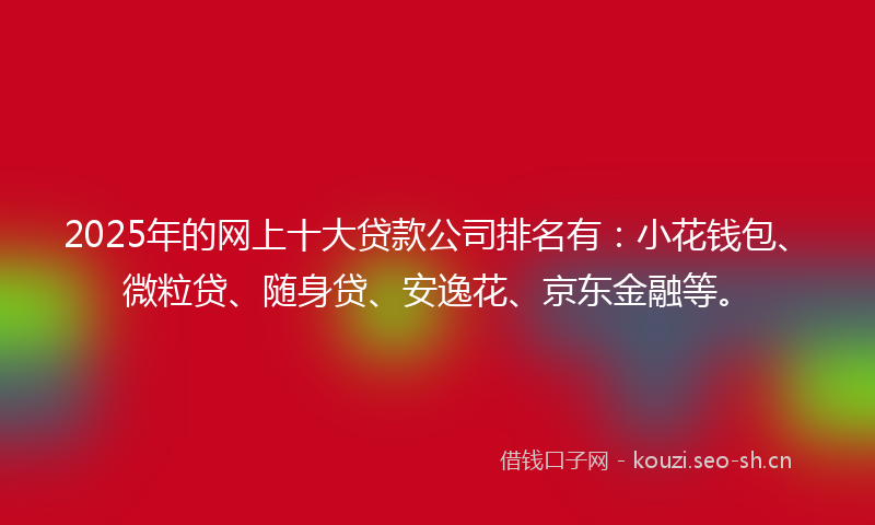 2025年的网上十大贷款公司排名有：小花钱包、微粒贷、随身贷、安逸花、京东金融等。