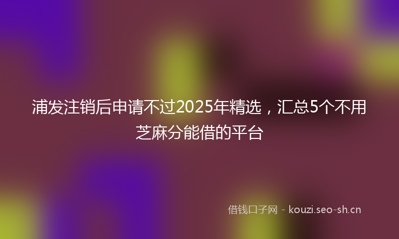浦发注销后申请不过2025年精选，汇总5个不用芝麻分能借的平台