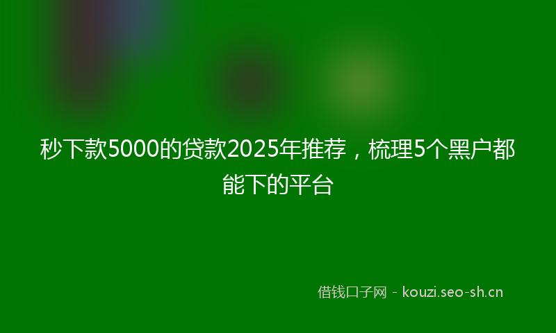 秒下款5000的贷款2025年推荐，梳理5个黑户都能下的平台
