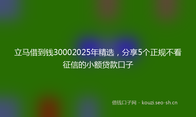 立马借到钱30002025年精选，分享5个正规不看征信的小额贷款口子