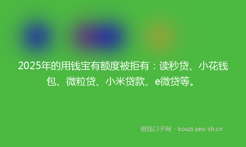 2025年的用钱宝有额度被拒有：读秒贷、小花钱包、微粒贷、小米贷款、e微贷等。