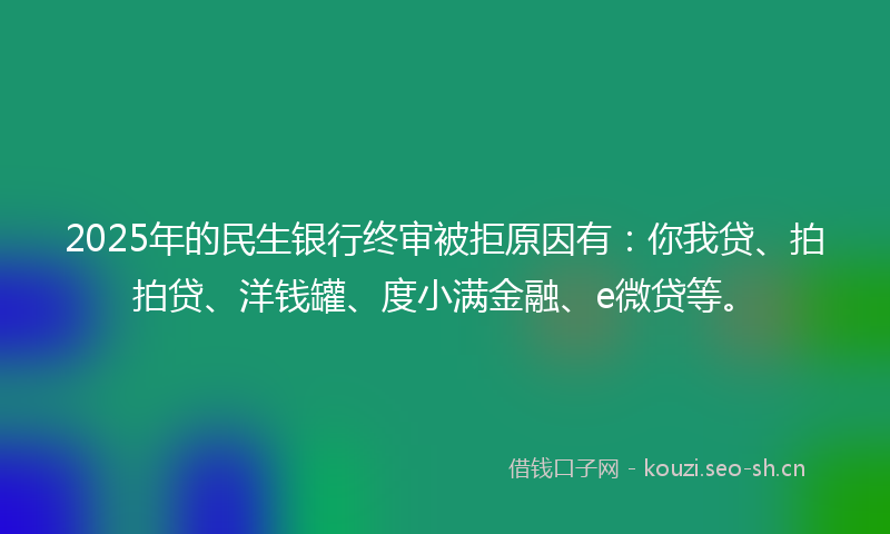 2025年的民生银行终审被拒原因有：你我贷、拍拍贷、洋钱罐、度小满金融、e微贷等。