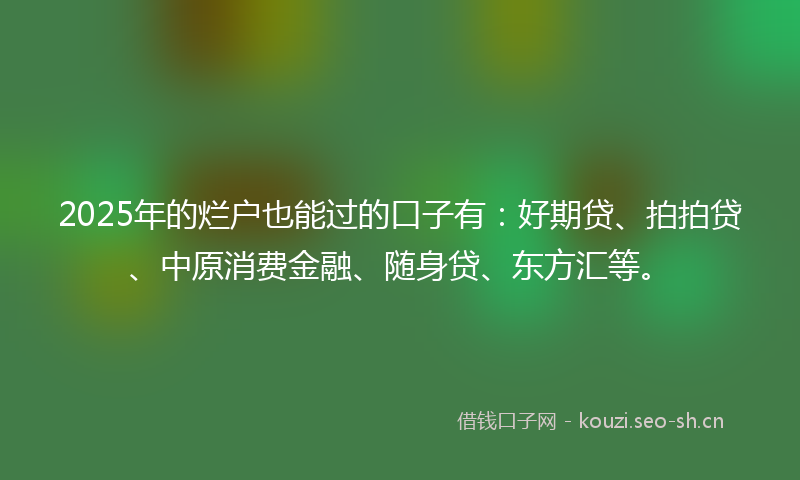 2025年的烂户也能过的口子有：好期贷、拍拍贷、中原消费金融、随身贷、东方汇等。