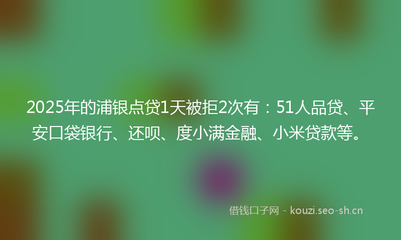 2025年的浦银点贷1天被拒2次有：51人品贷、平安口袋银行、还呗、度小满金融、小米贷款等。