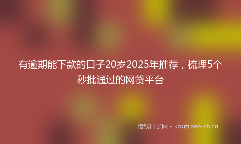有逾期能下款的口子20岁2025年推荐，梳理5个秒批通过的网贷平台