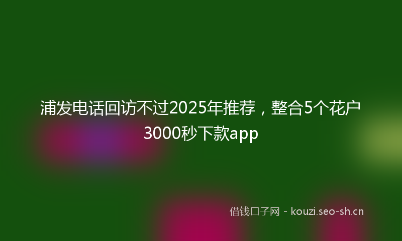 浦发电话回访不过2025年推荐，整合5个花户3000秒下款app