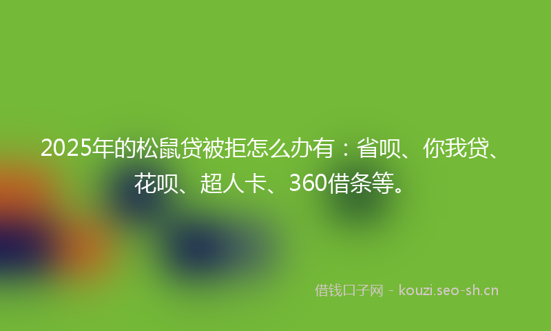 2025年的松鼠贷被拒怎么办有：省呗、你我贷、花呗、超人卡、360借条等。