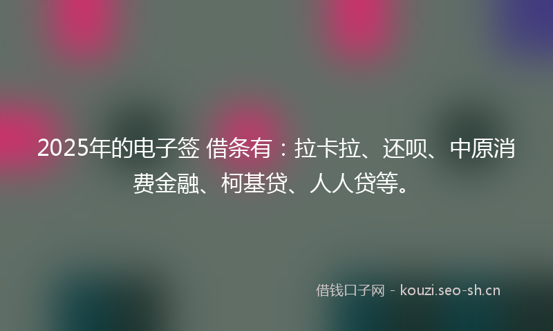 2025年的电子签 借条有：拉卡拉、还呗、中原消费金融、柯基贷、人人贷等。