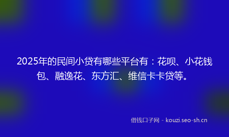 2025年的民间小贷有哪些平台有：花呗、小花钱包、融逸花、东方汇、维信卡卡贷等。