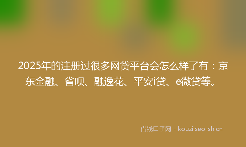 2025年的注册过很多网贷平台会怎么样了有：京东金融、省呗、融逸花、平安i贷、e微贷等。