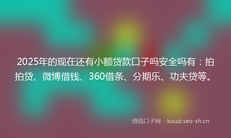 2025年的现在还有小额贷款口子吗安全吗有：拍拍贷、微博借钱、360借条、分期乐、功夫贷等。