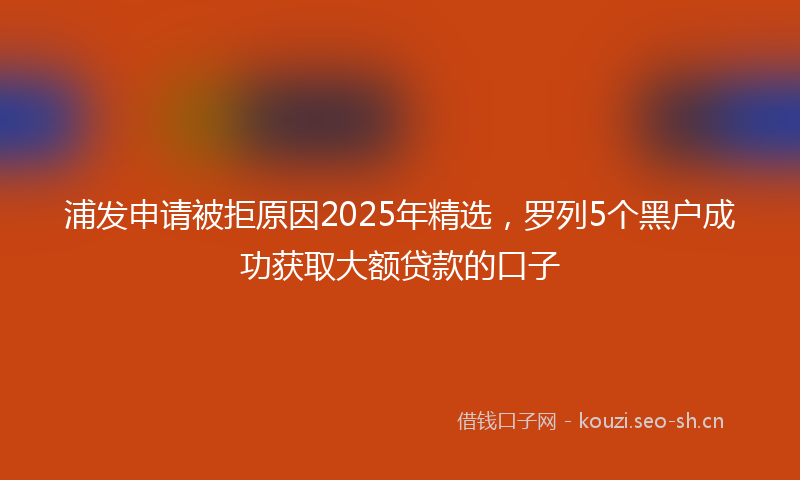 浦发申请被拒原因2025年精选，罗列5个黑户成功获取大额贷款的口子
