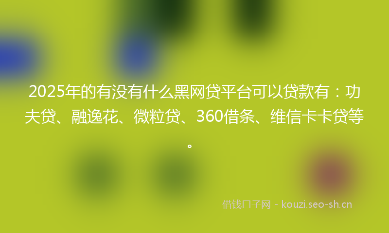 2025年的有没有什么黑网贷平台可以贷款有：功夫贷、融逸花、微粒贷、360借条、维信卡卡贷等。