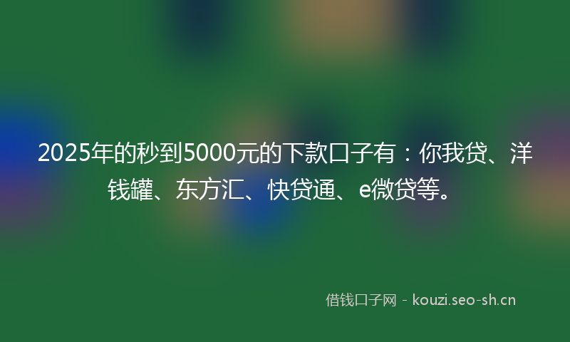 2025年的秒到5000元的下款口子有：你我贷、洋钱罐、东方汇、快贷通、e微贷等。