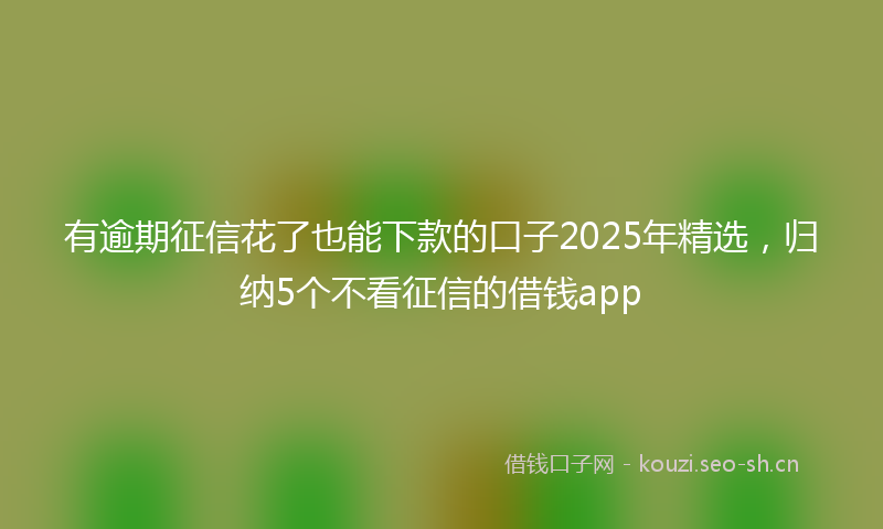 有逾期征信花了也能下款的口子2025年精选，归纳5个不看征信的借钱app