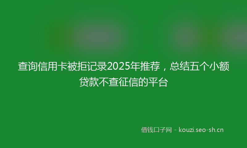 查询信用卡被拒记录2025年推荐，总结五个小额贷款不查征信的平台
