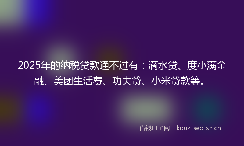 2025年的纳税贷款通不过有：滴水贷、度小满金融、美团生活费、功夫贷、小米贷款等。