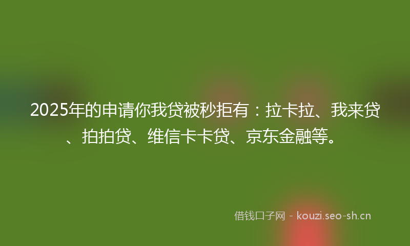 2025年的申请你我贷被秒拒有：拉卡拉、我来贷、拍拍贷、维信卡卡贷、京东金融等。