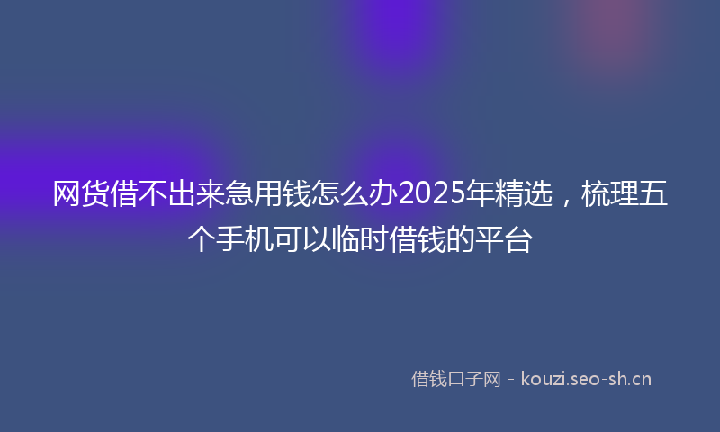 网货借不出来急用钱怎么办2025年精选，梳理五个手机可以临时借钱的平台