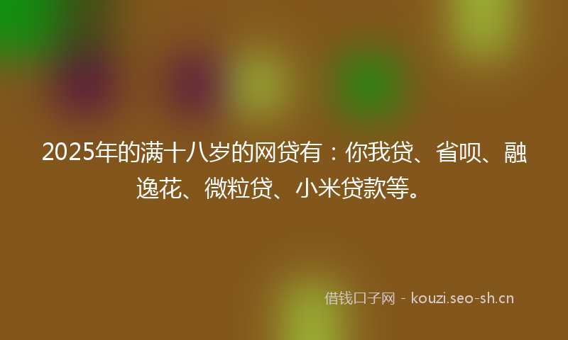 2025年的满十八岁的网贷有：你我贷、省呗、融逸花、微粒贷、小米贷款等。