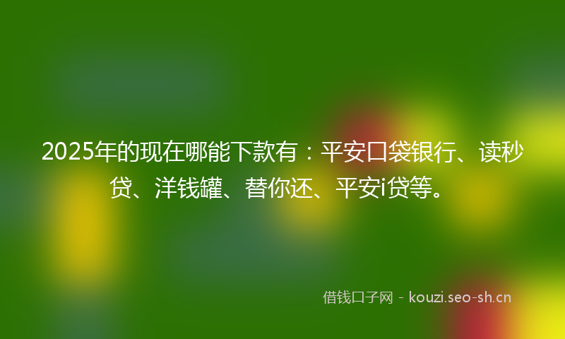 2025年的现在哪能下款有：平安口袋银行、读秒贷、洋钱罐、替你还、平安i贷等。