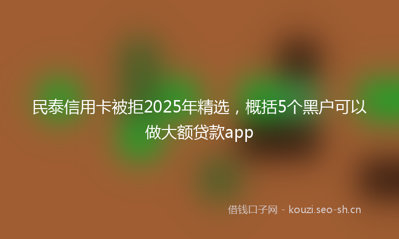 民泰信用卡被拒2025年精选，概括5个黑户可以做大额贷款app