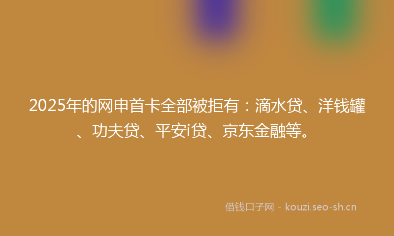 2025年的网申首卡全部被拒有：滴水贷、洋钱罐、功夫贷、平安i贷、京东金融等。