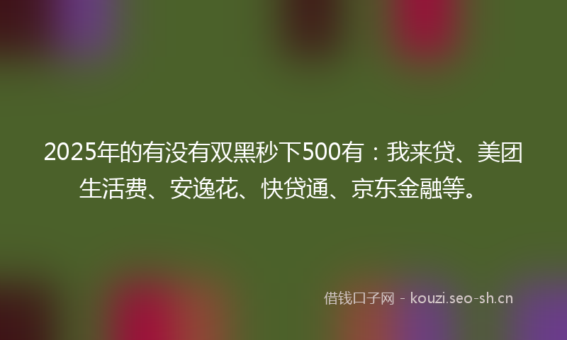 2025年的有没有双黑秒下500有：我来贷、美团生活费、安逸花、快贷通、京东金融等。